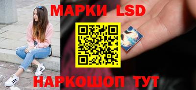 стаф Можга
