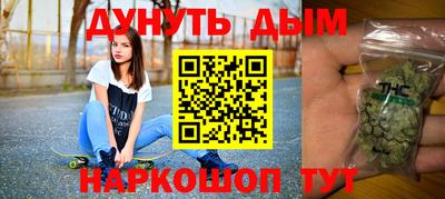 стаф Можга
