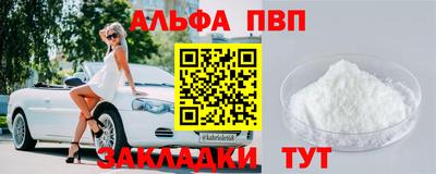стаф Можга