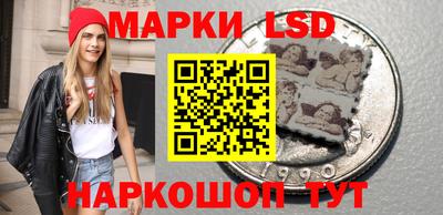 стаф Можга