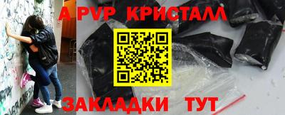 стаф Можга