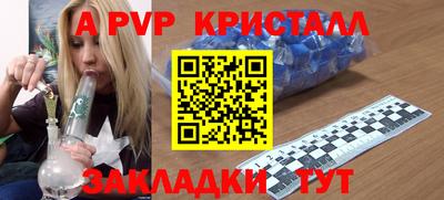 стаф Можга