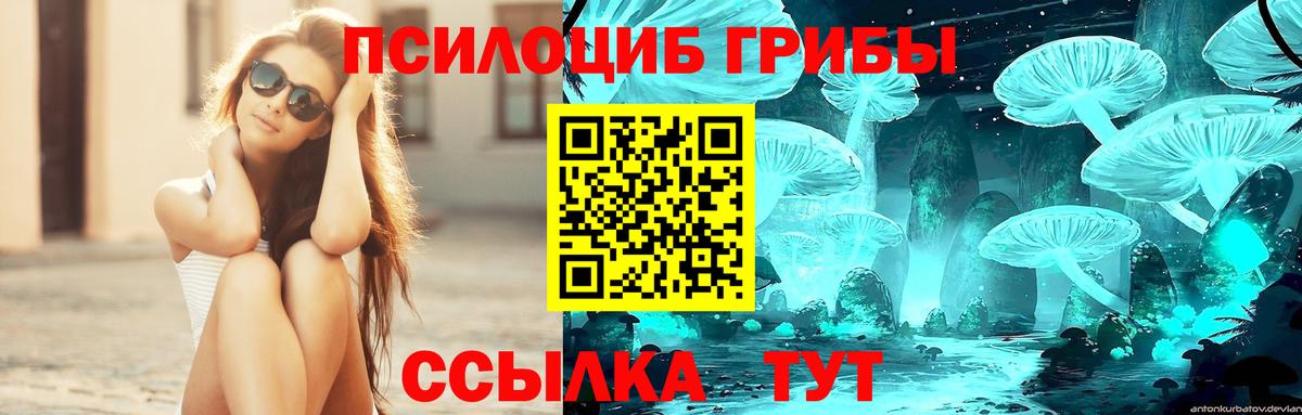 Псилоцибиновые грибы MAGIC MUSHROOMS Феодосия